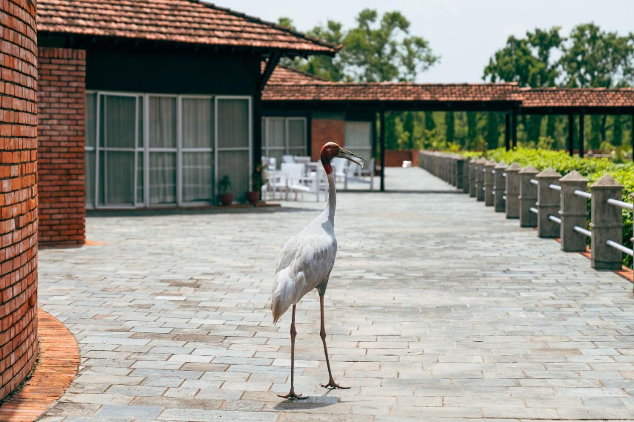 Hokke Lumbini Hotel Ngoại thất bức ảnh